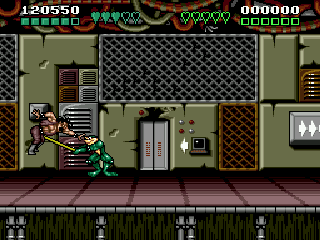 Battletoads and Double Dragon