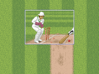 Brian Lara Cricket 96