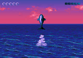 ECCO: The Tides of Time