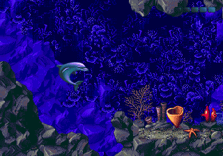 ECCO: The Tides of Time