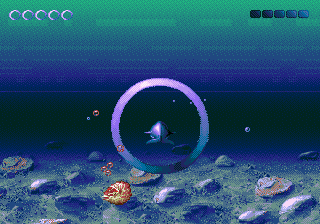 ECCO: The Tides of Time