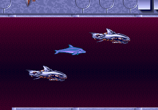 ECCO: The Tides of Time