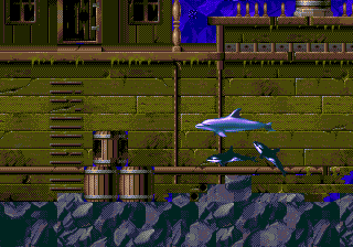 ECCO: The Tides of Time
