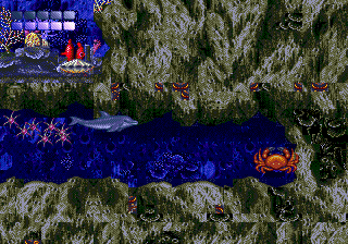 ECCO The Dolphin