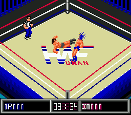 Fire Pro Wrestling Gaiden