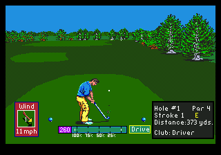 PGA Tour Golf