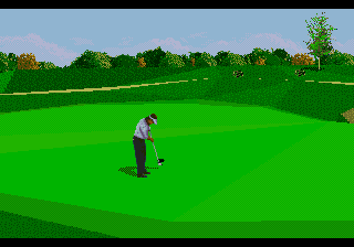 PGA Tour 96