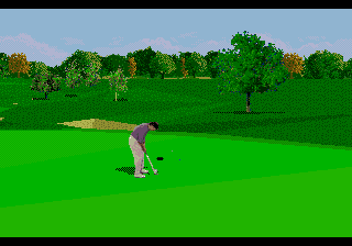 PGA Tour 96