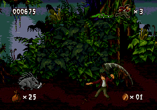 Pitfall: The Mayan Adventure