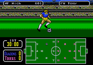 Tecmo Cup Football Game ()