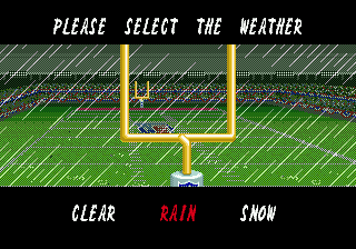 Tecmo Super Bowl II SE