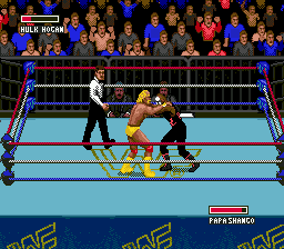 WWF Super Wrestlemania