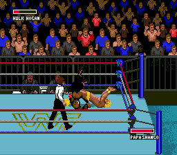 WWF Super Wrestlemania