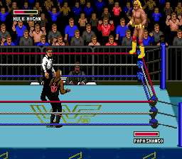 WWF Super Wrestlemania