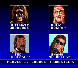 WWF Super Wrestlemania