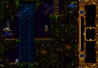 Blackthorne