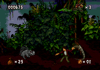 Pitfall: The Mayan Adventure