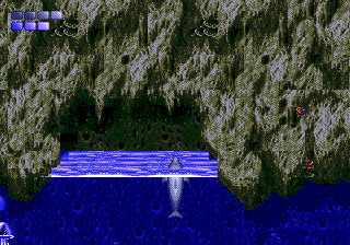 Ecco the Dolphin