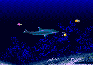 Ecco the Dolphin