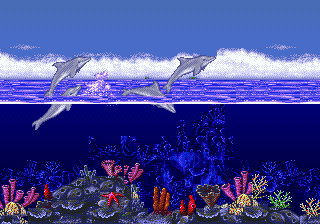 Ecco the Dolphin