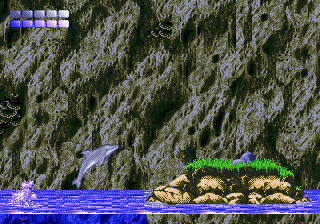 Ecco the Dolphin