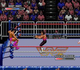 WWF Rage in the Cage