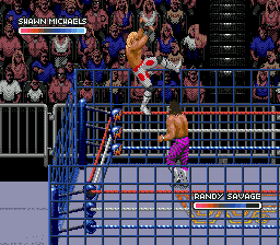 WWF Rage in the Cage