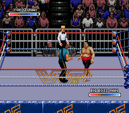 WWF Rage in the Cage