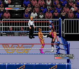 WWF Rage in the Cage