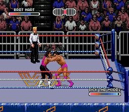 WWF Rage in the Cage