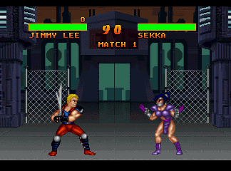 Double Dragon V: The Shadow Falls