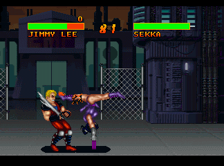 Double Dragon V: The Shadow Falls