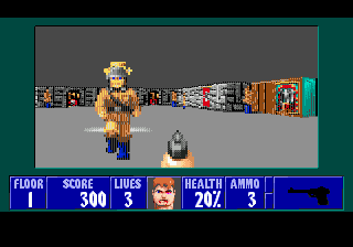 Wolfenstein 3D SMD,  !