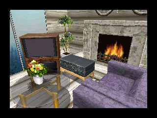 Life Stage: Virtual House, The