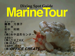 Marine Tour