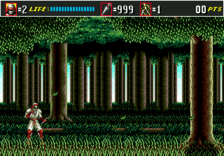 Shinobi III: Return of the Ninja Master (The Super Shinobi II)