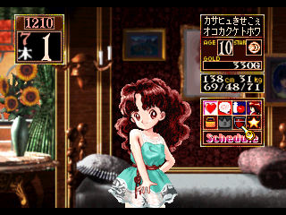 Princess Maker 2