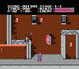 Ninja Gaiden