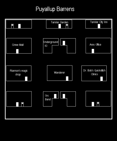 Shadowrun ()