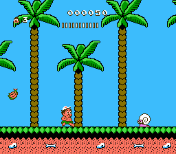 Hudson's Adventure Island II