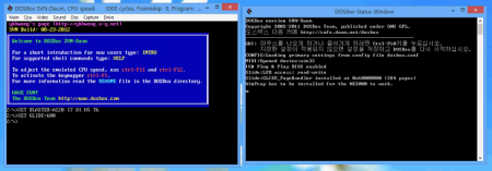   DOSBox SVN Daum