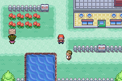 Pokemon: Red / Green