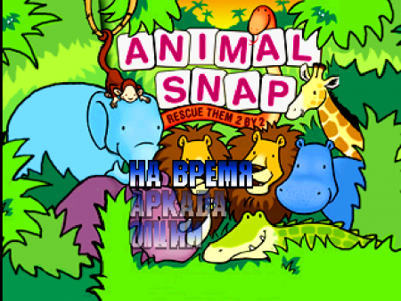 Animal Snap (Kudos)