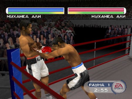 Knockout Kings 2001 (Paradox)