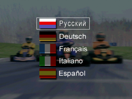 Michael Schumacher Racing World Kart 2002 ()