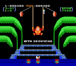   Donkey Kong 3 [NES] 