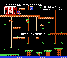  Donkey Kong Jr. [NES]