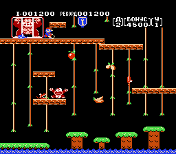  Donkey Kong Jr. [NES]