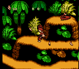 Donkey Kong Country 4