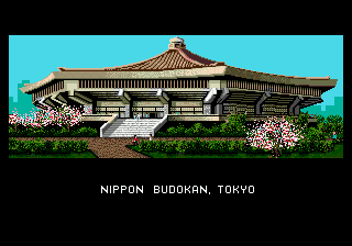 Budokan: The Martial Spirit